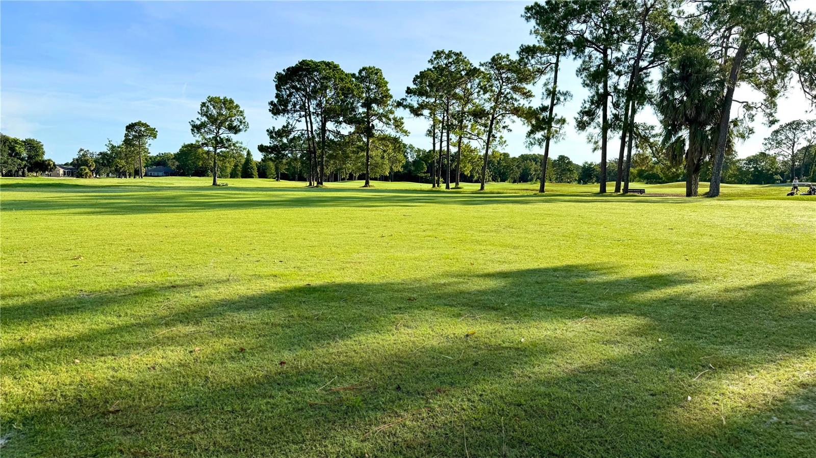 11534 PEAR TREE DR, NEW PORT RICHEY, FL, 34654