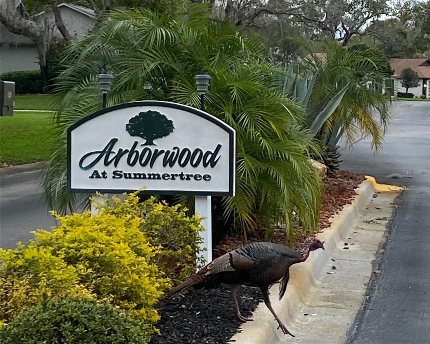 11534 PEAR TREE DR, NEW PORT RICHEY, FL, 34654