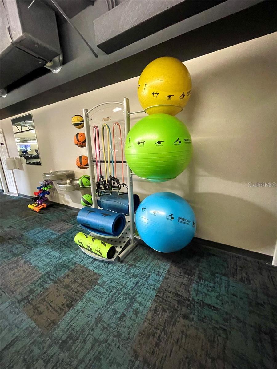 11534 PEAR TREE DR, NEW PORT RICHEY, FL, 34654