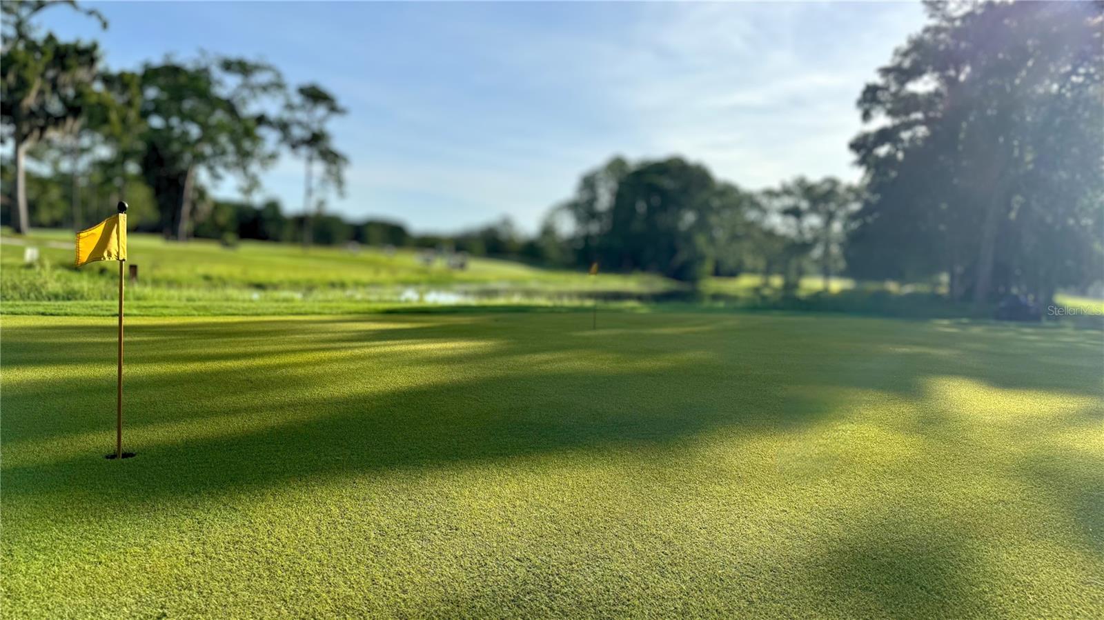 11534 PEAR TREE DR, NEW PORT RICHEY, FL, 34654