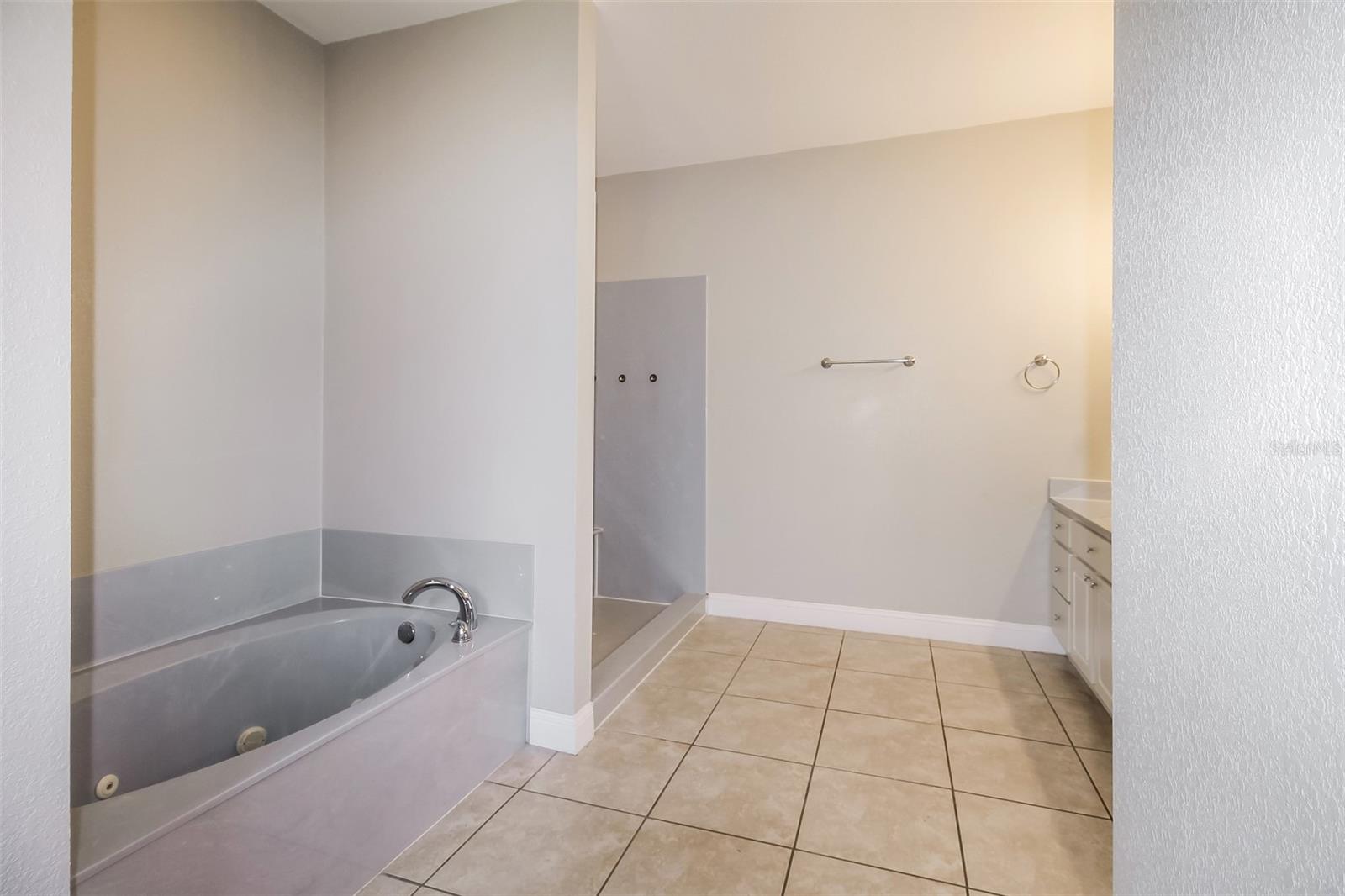 55 BAHIA TRACE CRSE, OCALA, FL, 34472