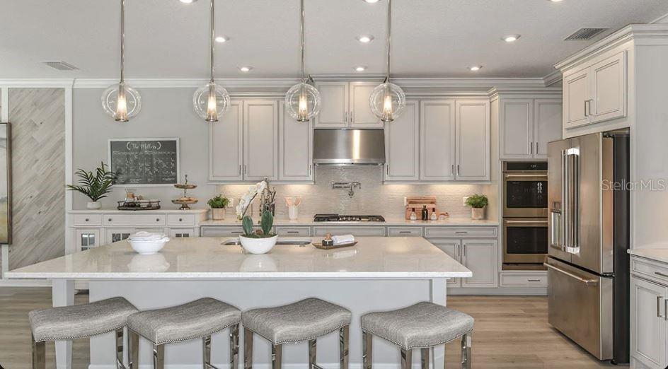 33900 ANCHOR LIGHT LN, WESLEY CHAPEL, FL, 33543