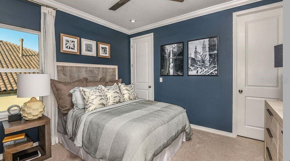 33900 ANCHOR LIGHT LN, WESLEY CHAPEL, FL, 33543