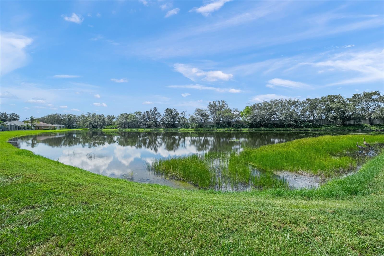 A4660615 Property Photo