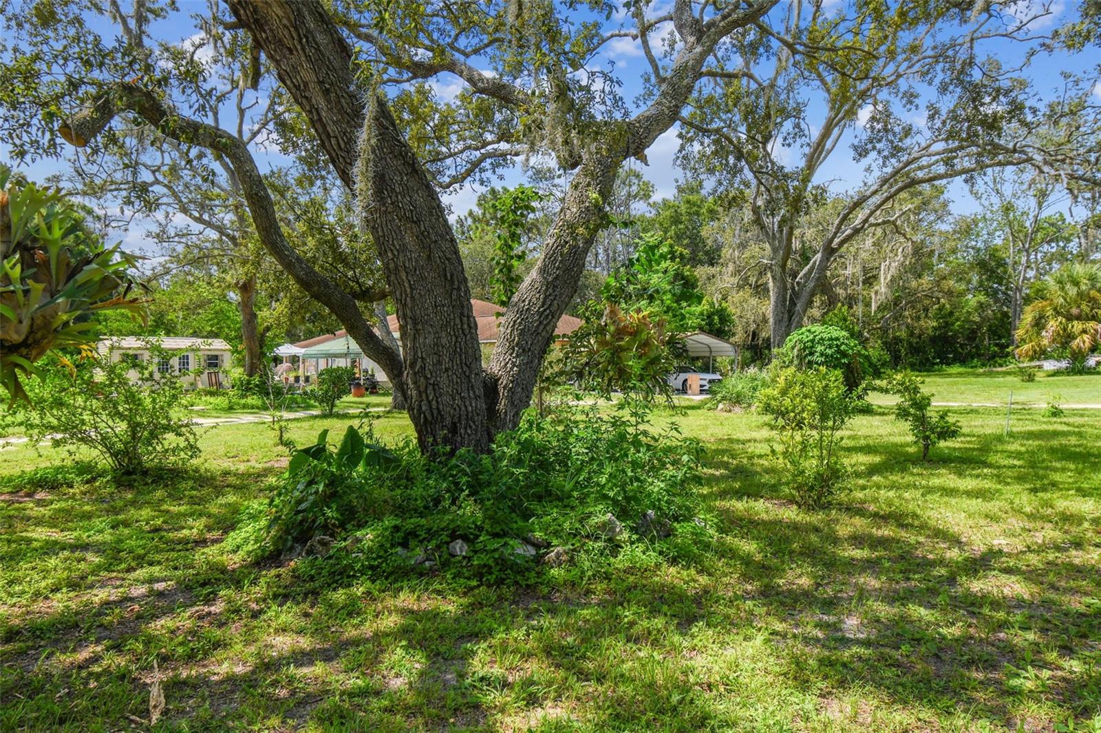 12604 CHOCTAW TRL, HUDSON, FL, 34669