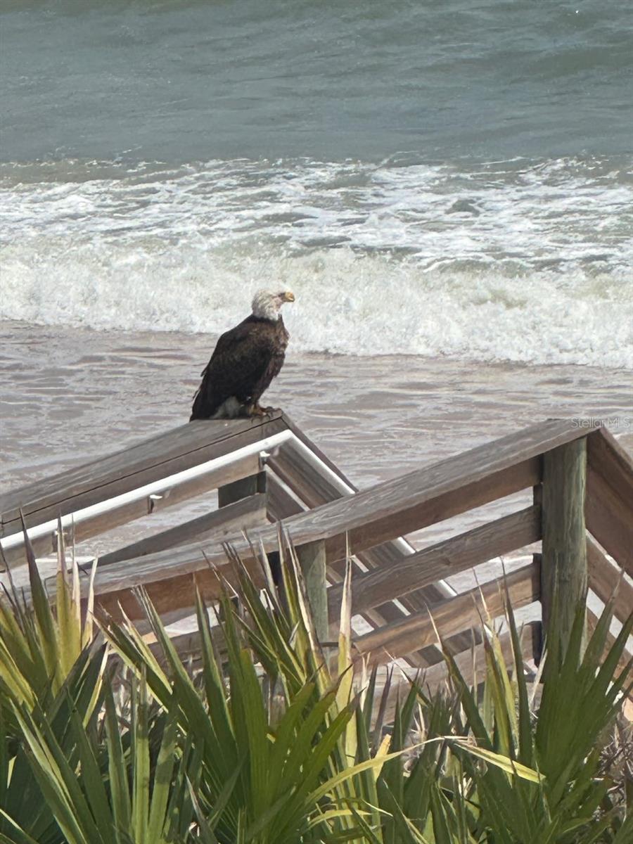 FC311622 Property Photo