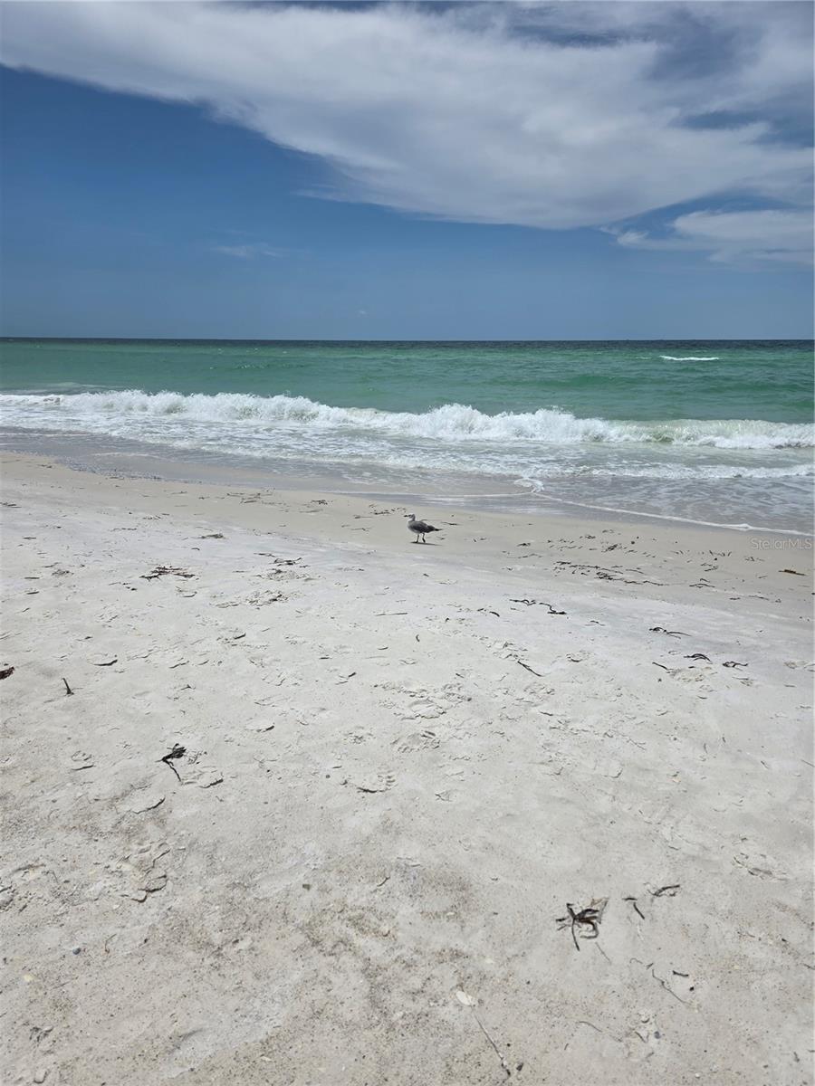 TB8413650 Property Photo