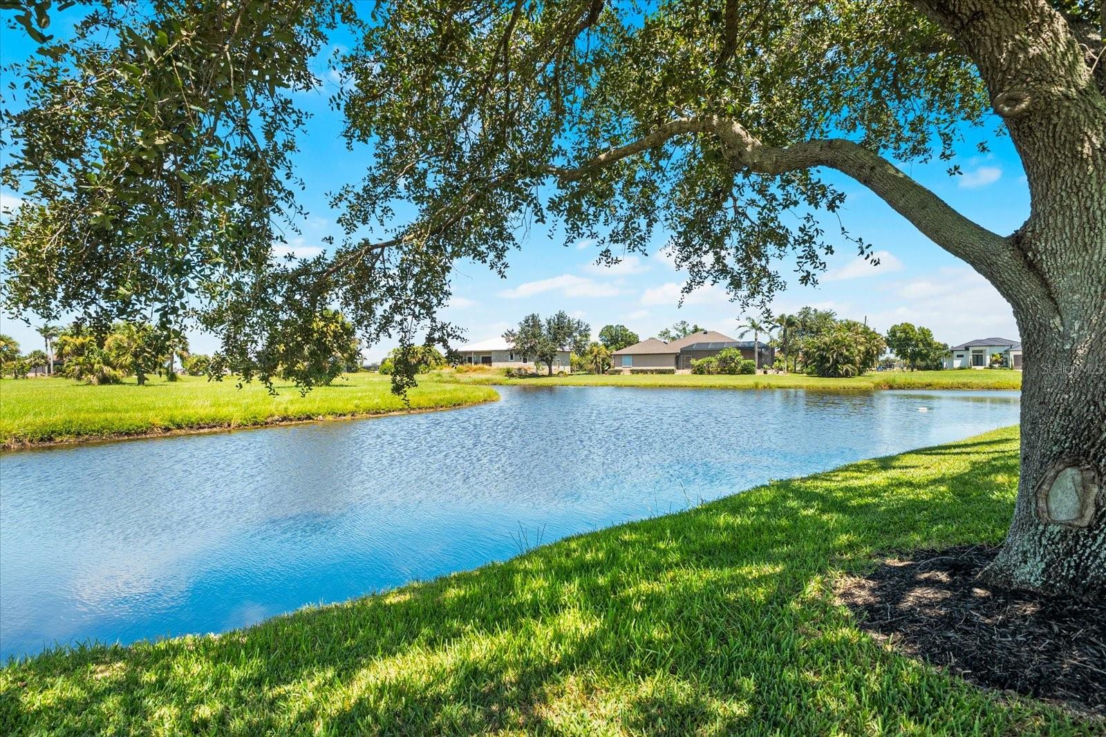 17253 SPEARMINT LN, PUNTA GORDA, FL, 33955