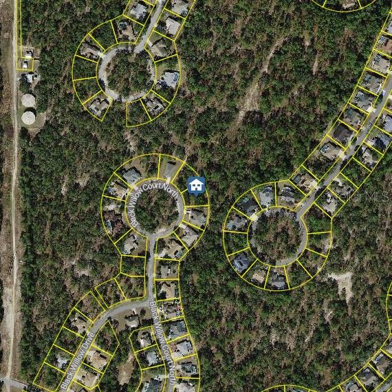 29 BLACK WILLOW CT N, HOMOSASSA, FL, 34446
