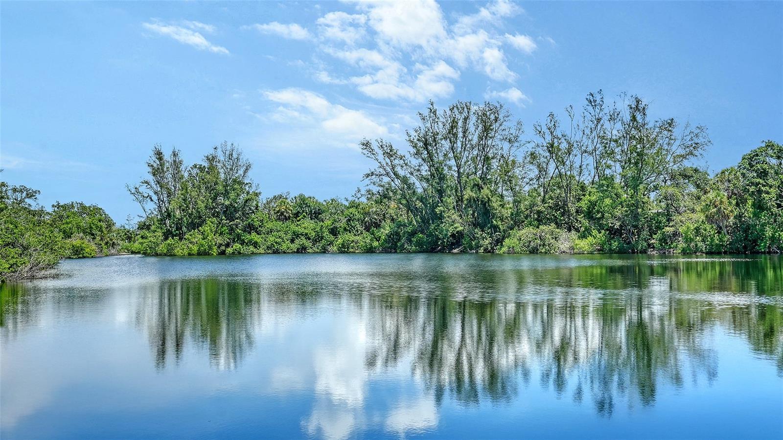 A4661261 Property Photo