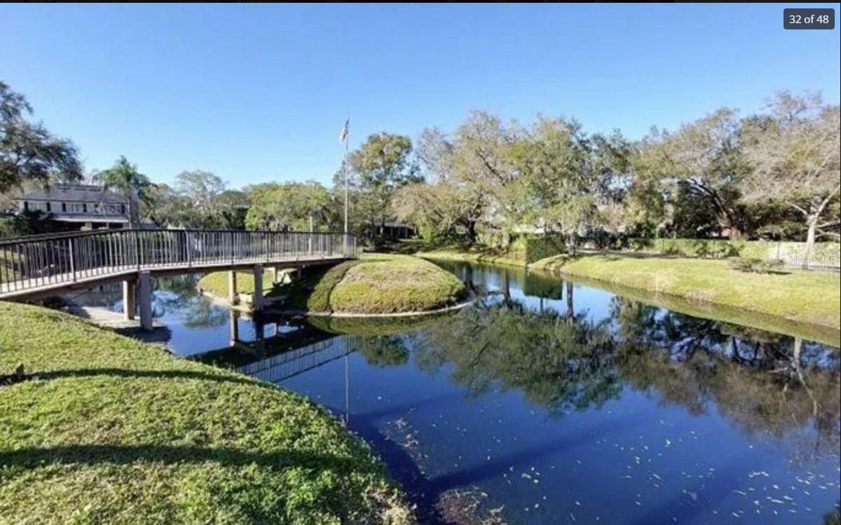 13618 GREENFIELD DR #401, TAMPA, FL, 33618