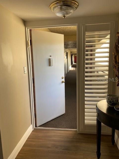 13618 GREENFIELD DR #401, TAMPA, FL, 33618