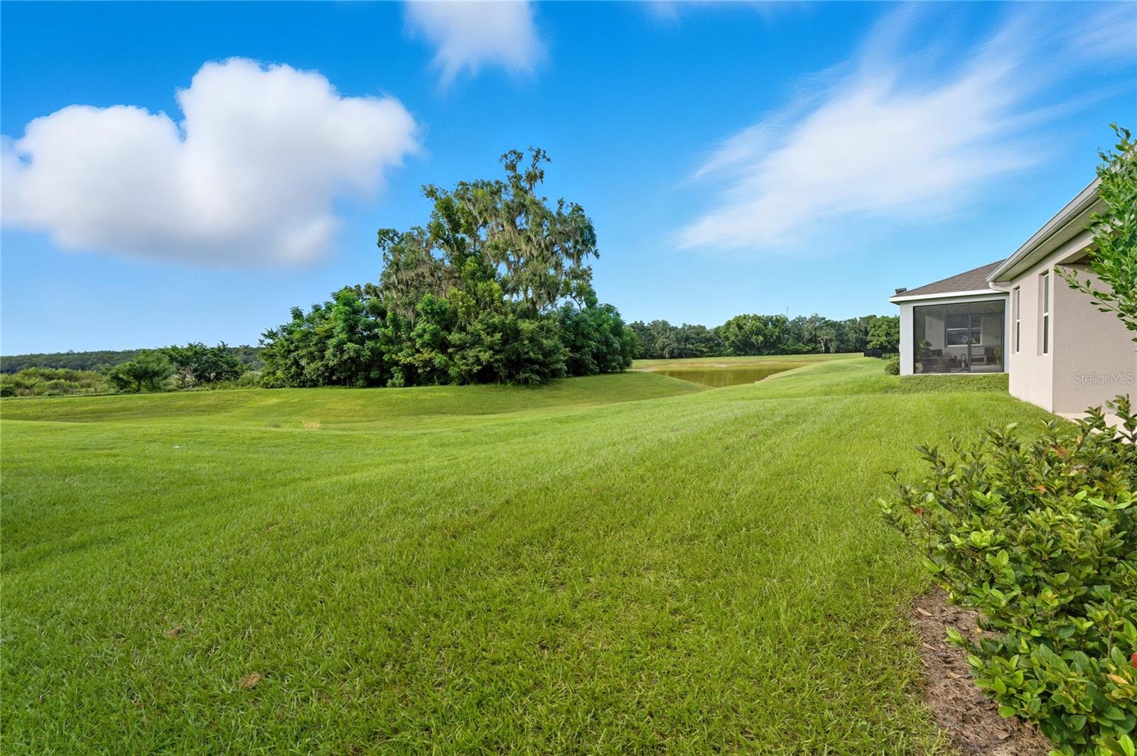 13811 WHISKEY DAISY DR, DADE CITY, FL, 33525