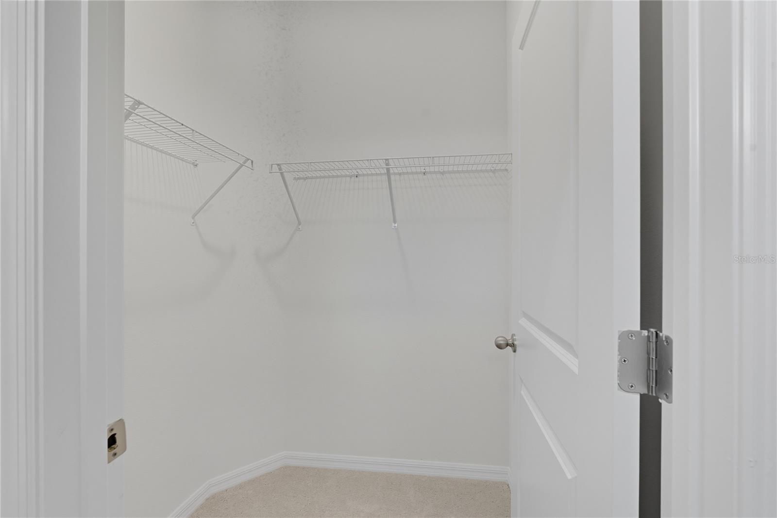 13811 WHISKEY DAISY DR, DADE CITY, FL, 33525