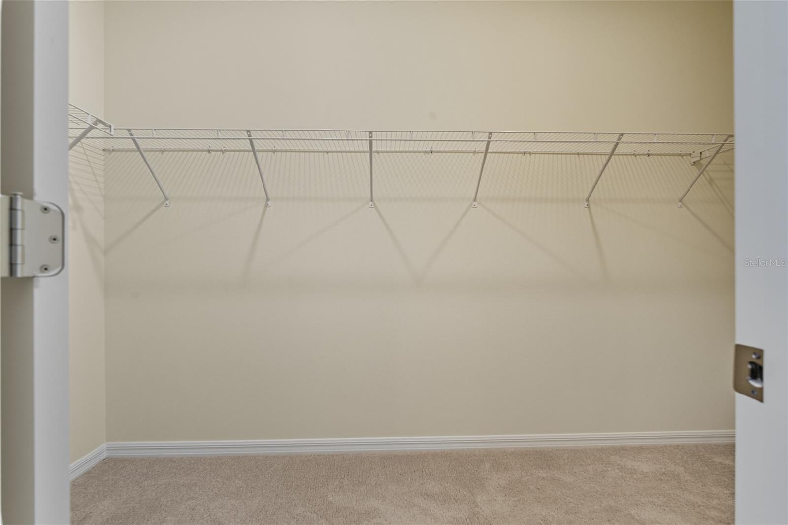 13811 WHISKEY DAISY DR, DADE CITY, FL, 33525