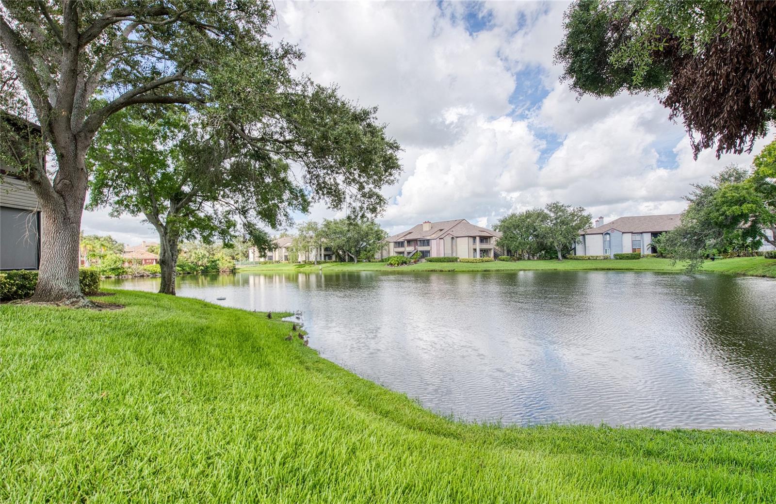 TB8415207 Property Photo