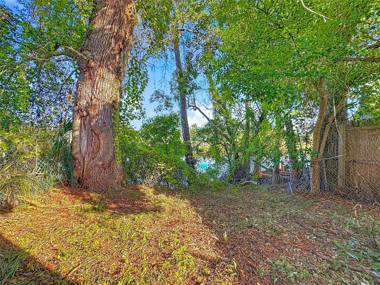 O6334114 Property Photo