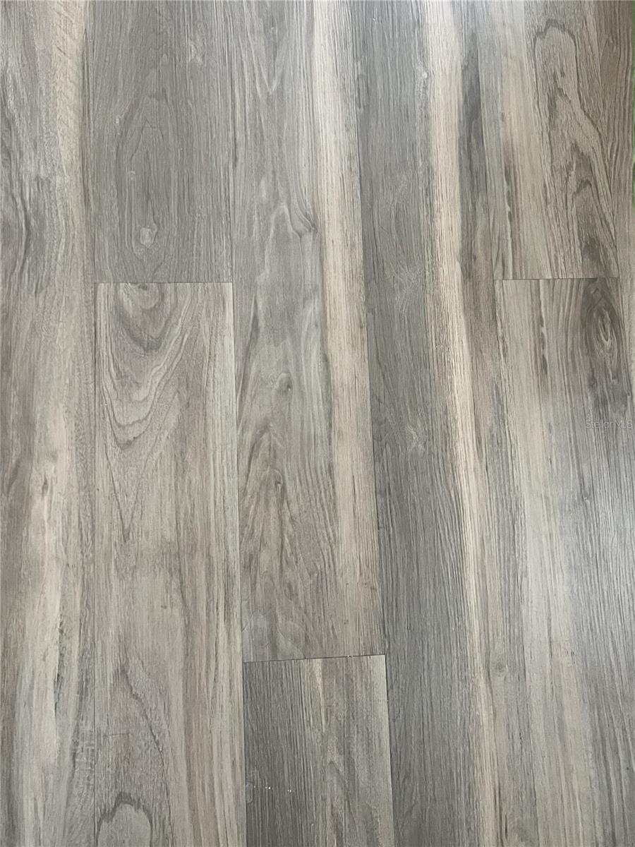 FENWICK COVE, OCOEE, FL, 34761