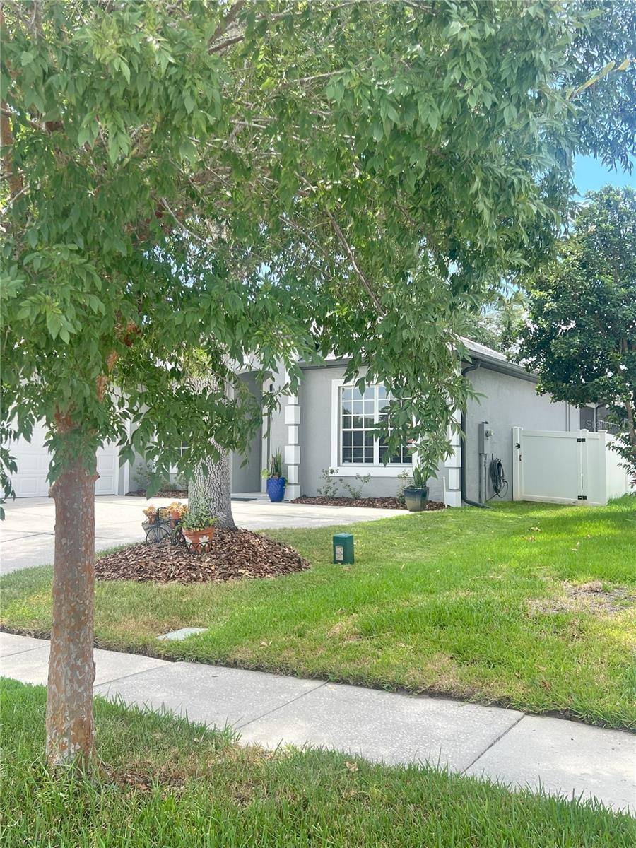 FENWICK COVE, OCOEE, FL, 34761