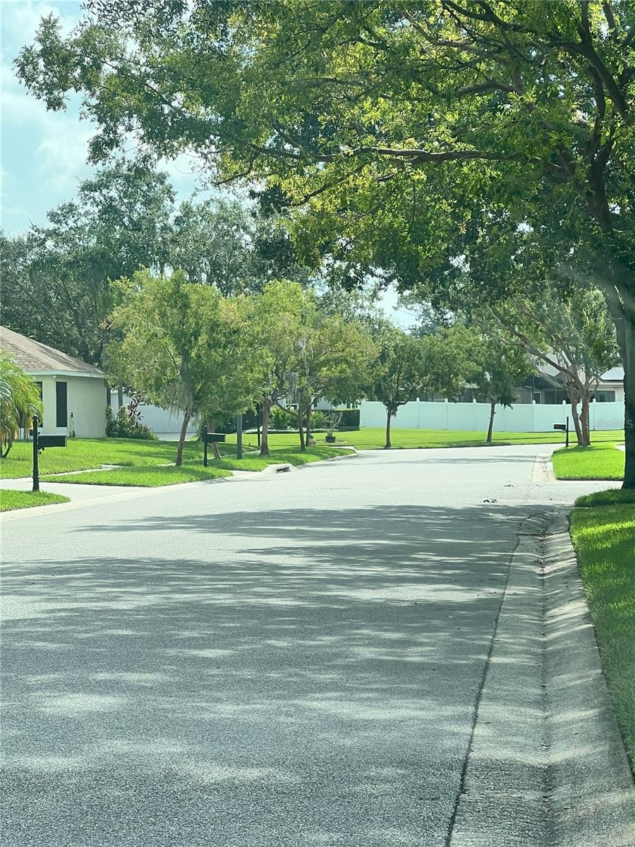 FENWICK COVE, OCOEE, FL, 34761