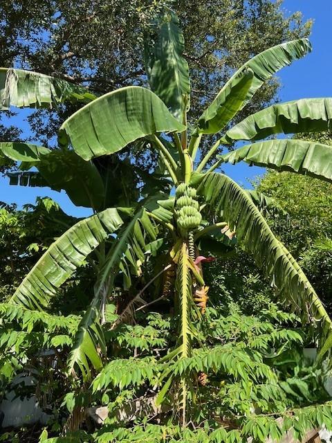 1701 WHITMAN DR, WEST MELBOURNE, FL, 32904