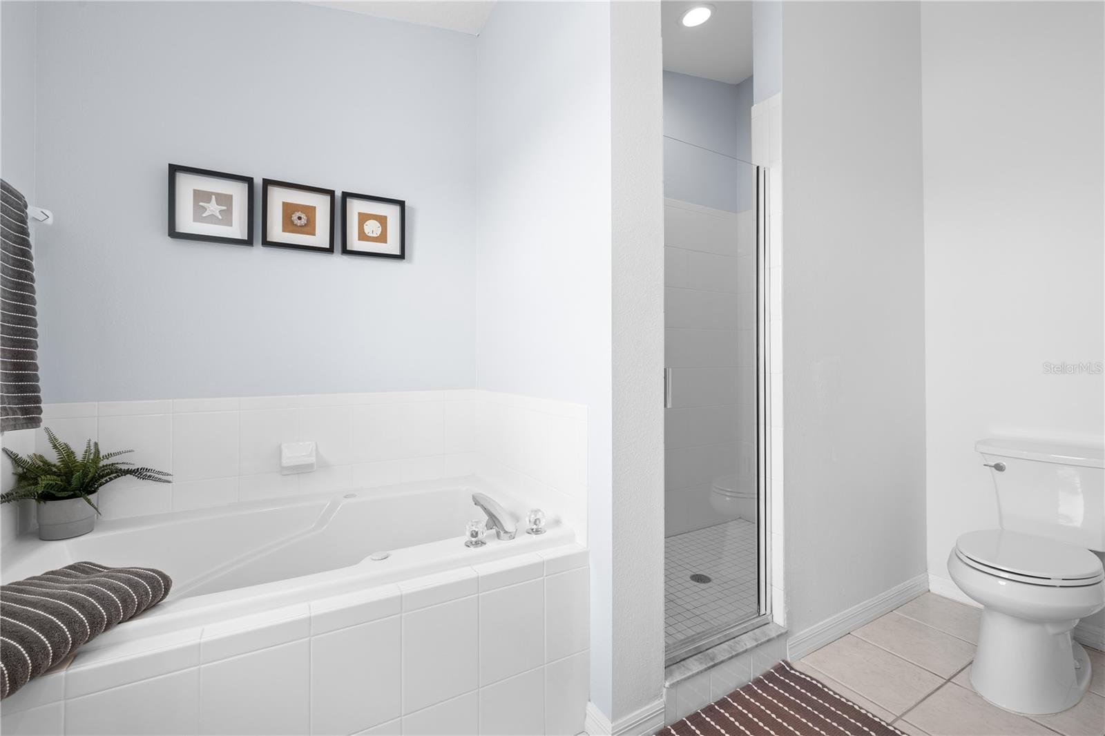 44 GULF BLVD #204, INDIAN ROCKS BEACH, FL, 33785