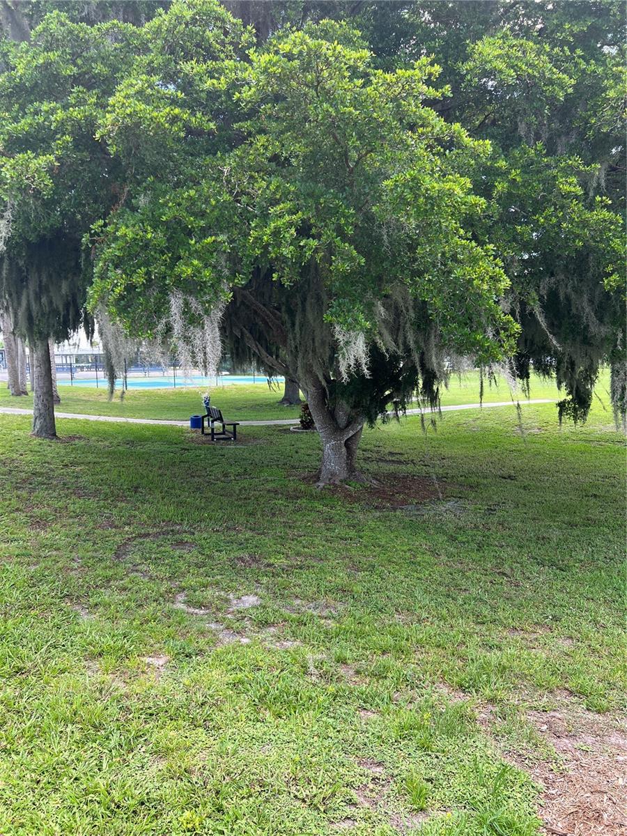 OK225482 Property Photo