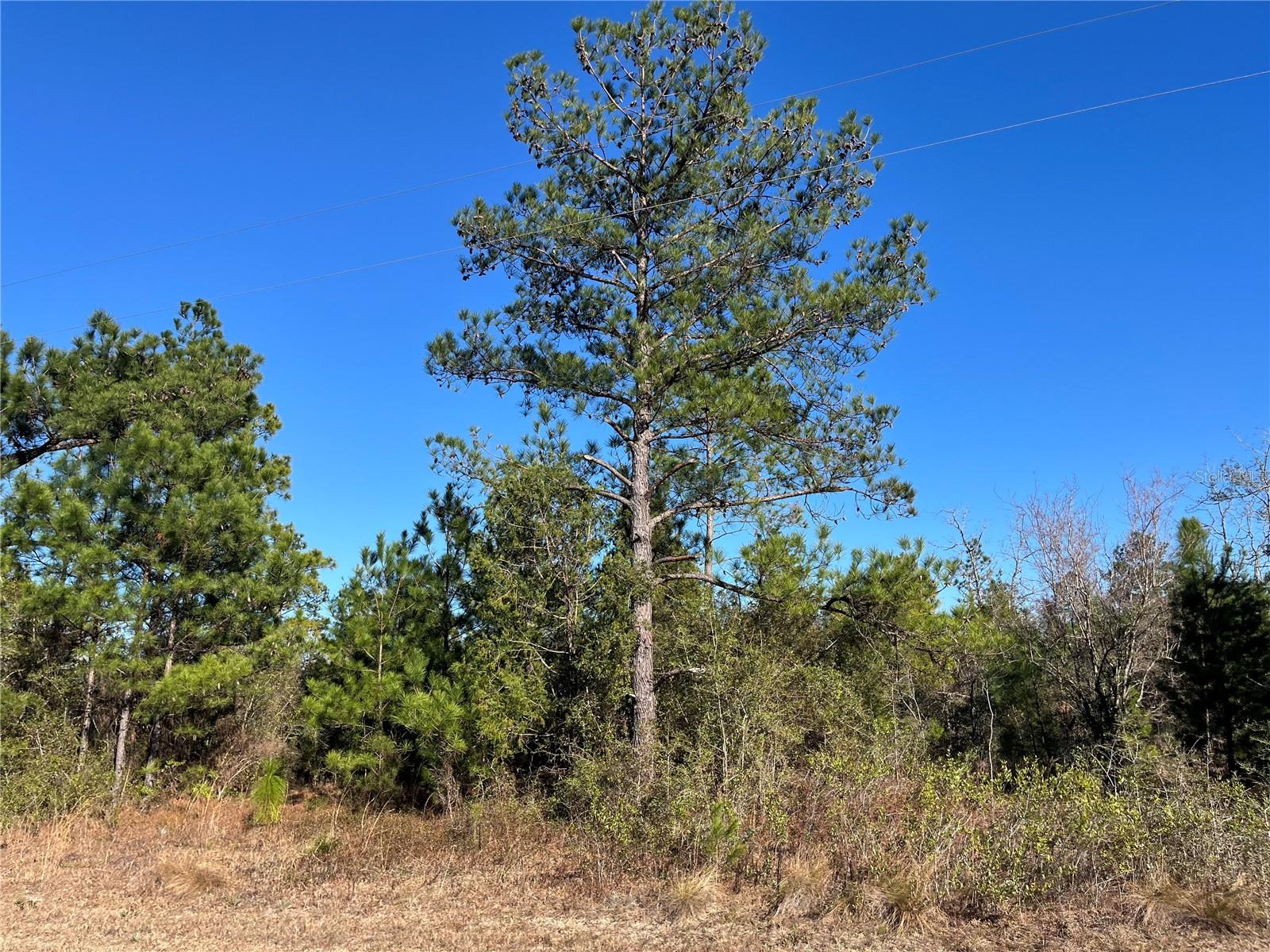 FAIRVIEW RD, MARIANNA, FL, 32448