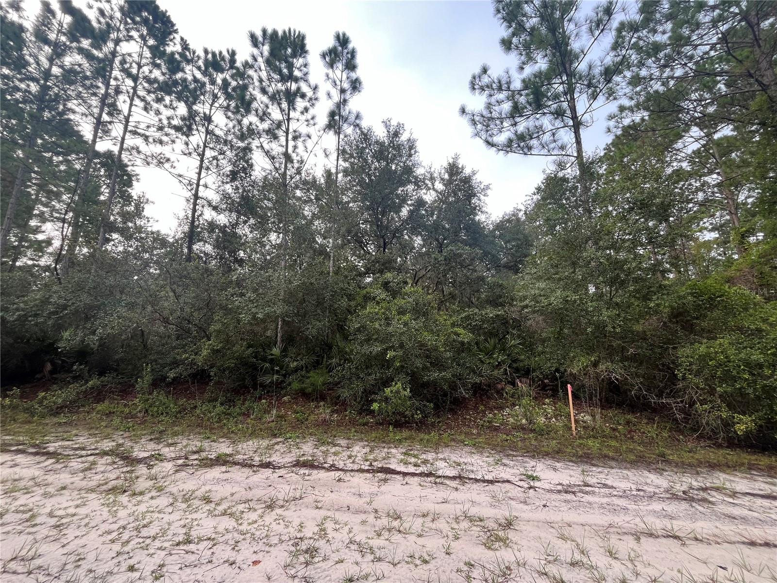 119 GARDENIA AVE, GEORGETOWN, FL, 32139