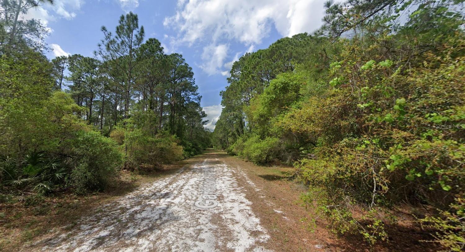 119 GARDENIA AVE, GEORGETOWN, FL, 32139