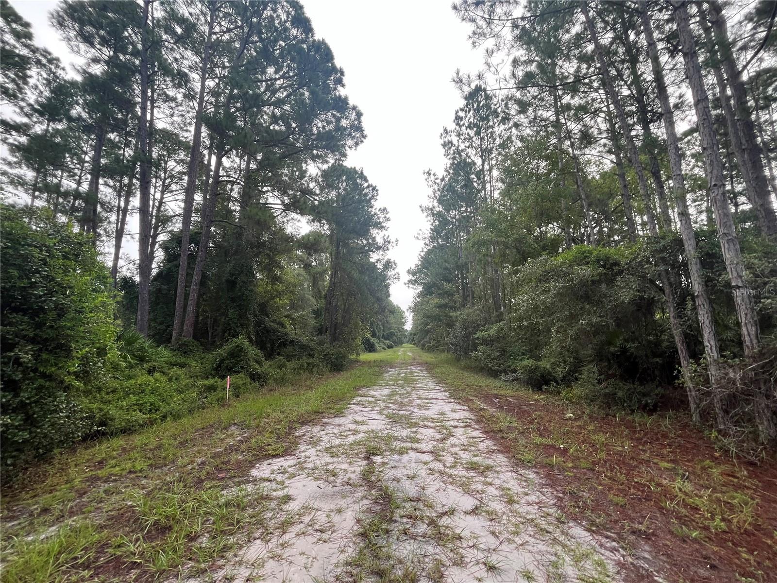 119 GARDENIA AVE, GEORGETOWN, FL, 32139