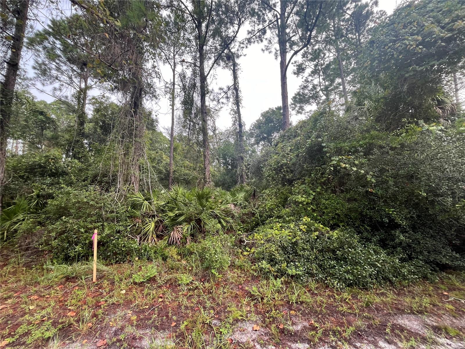 120 GARDENIA AVE, GEORGETOWN, FL, 32139