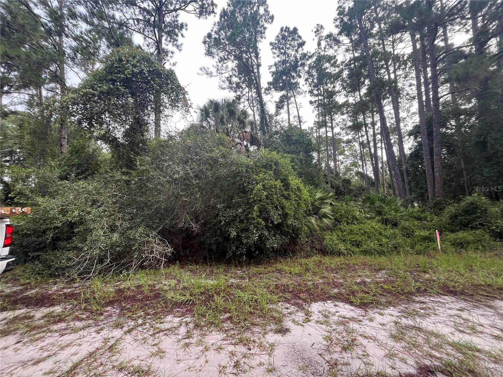 120 GARDENIA AVE, GEORGETOWN, FL, 32139