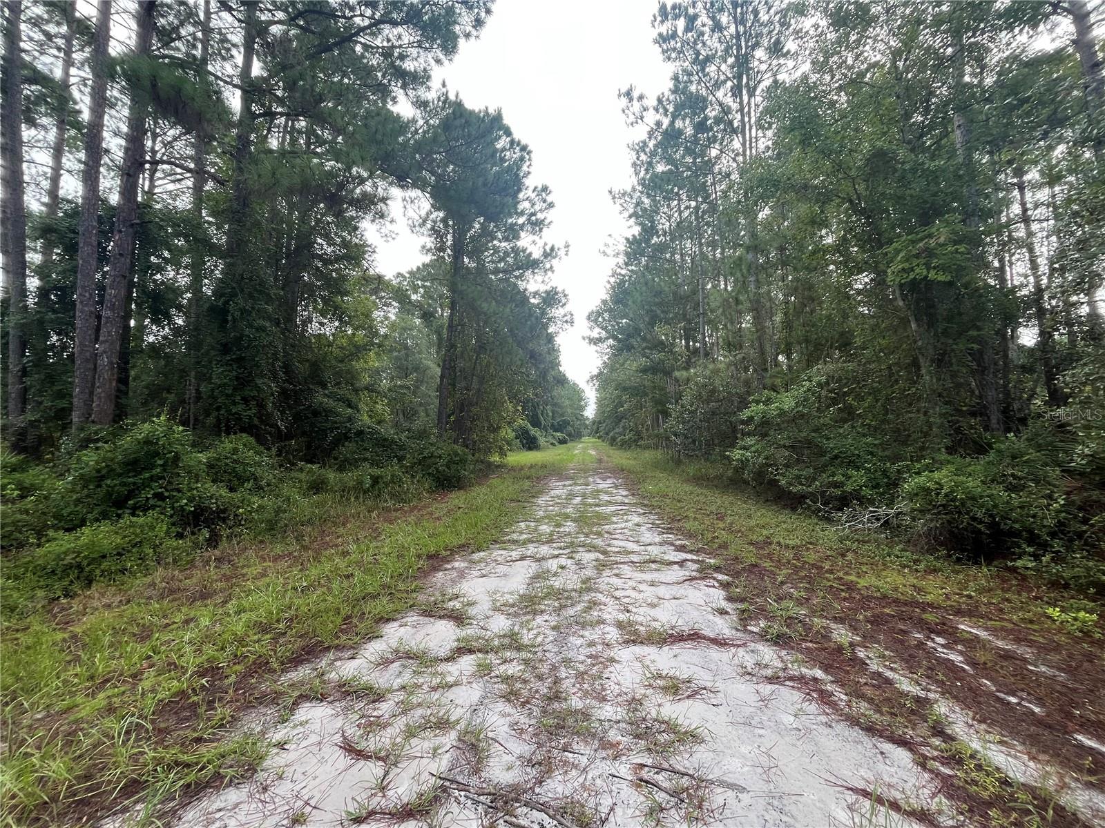 120 GARDENIA AVE, GEORGETOWN, FL, 32139