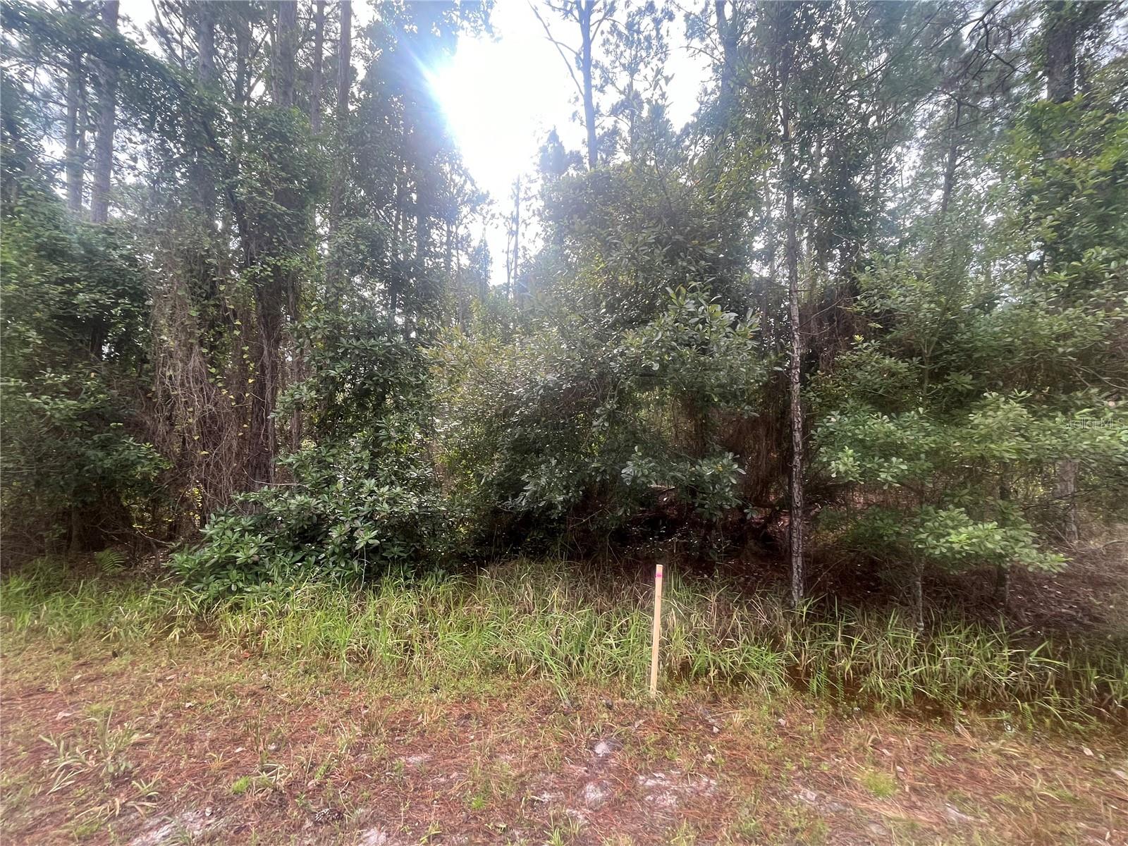 223 SE 2ND ST, GEORGETOWN, FL, 32139