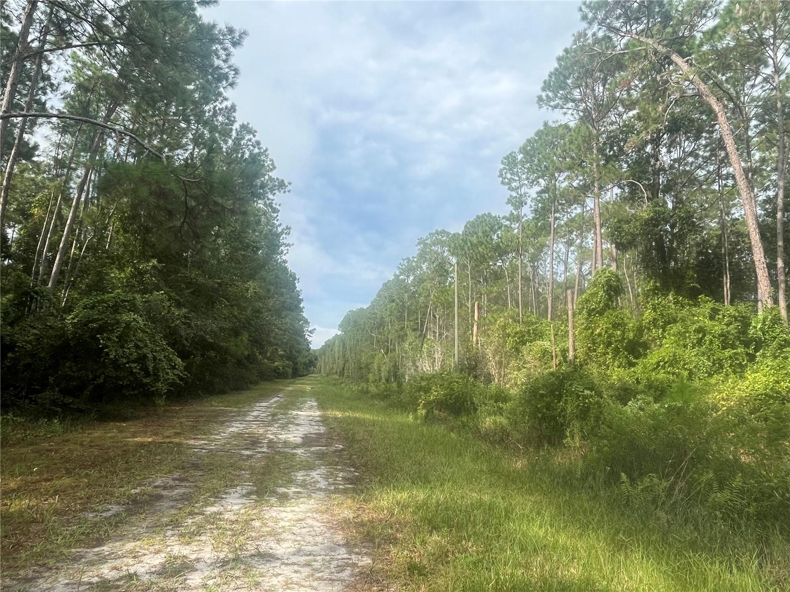 223 SE 2ND ST, GEORGETOWN, FL, 32139