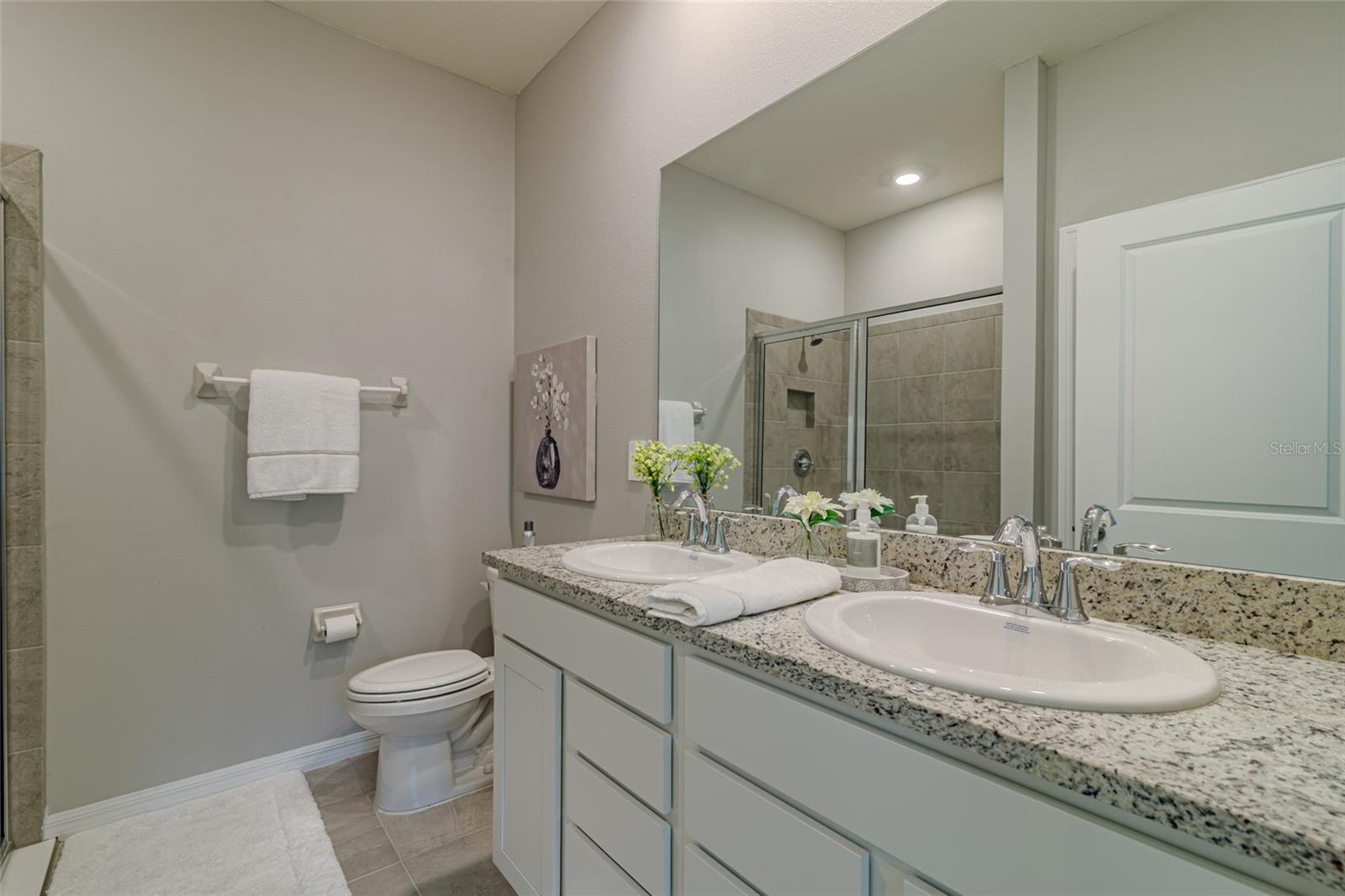 5293 NW 48TH PL, OCALA, FL, 34482