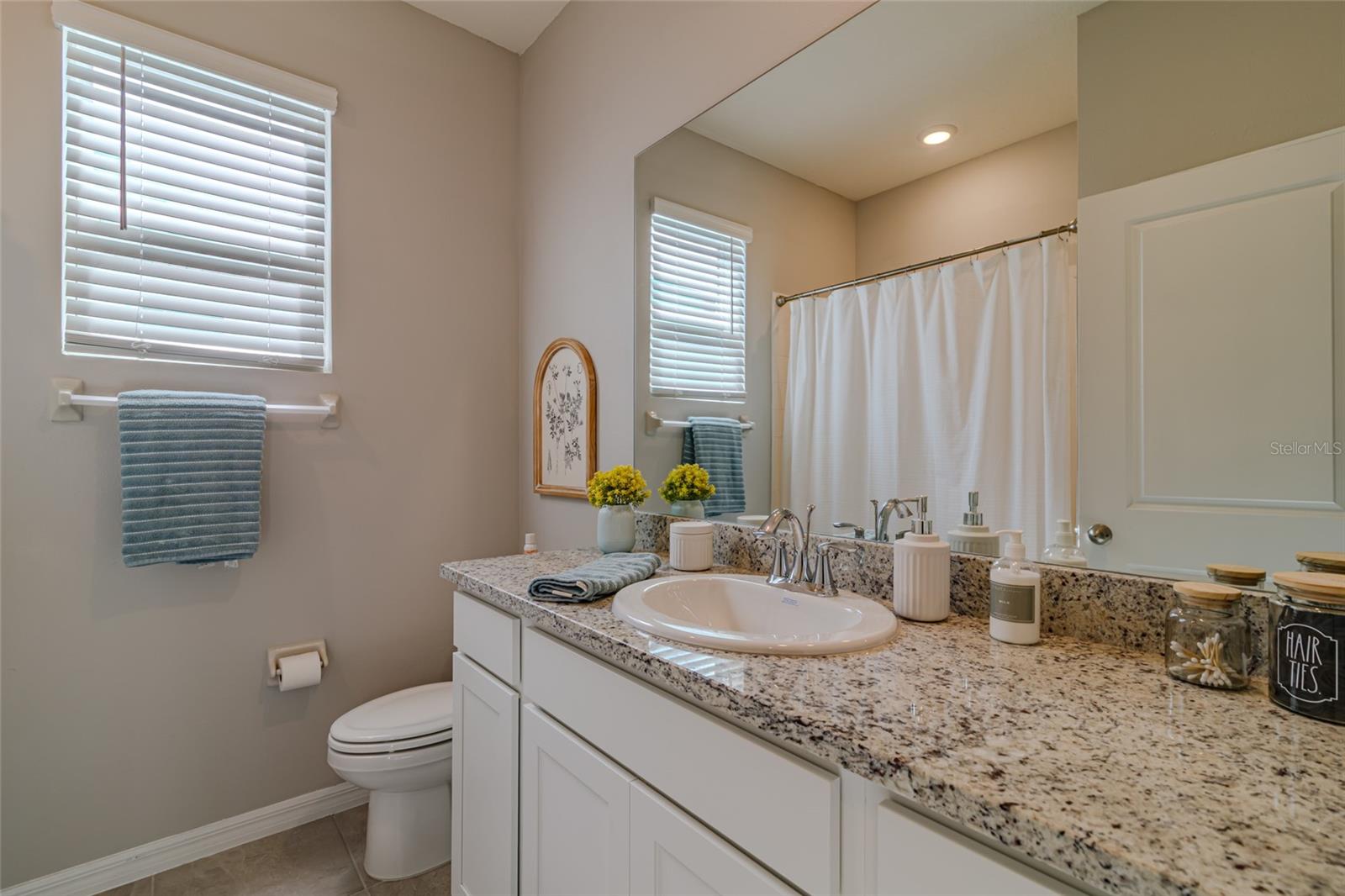 5293 NW 48TH PL, OCALA, FL, 34482