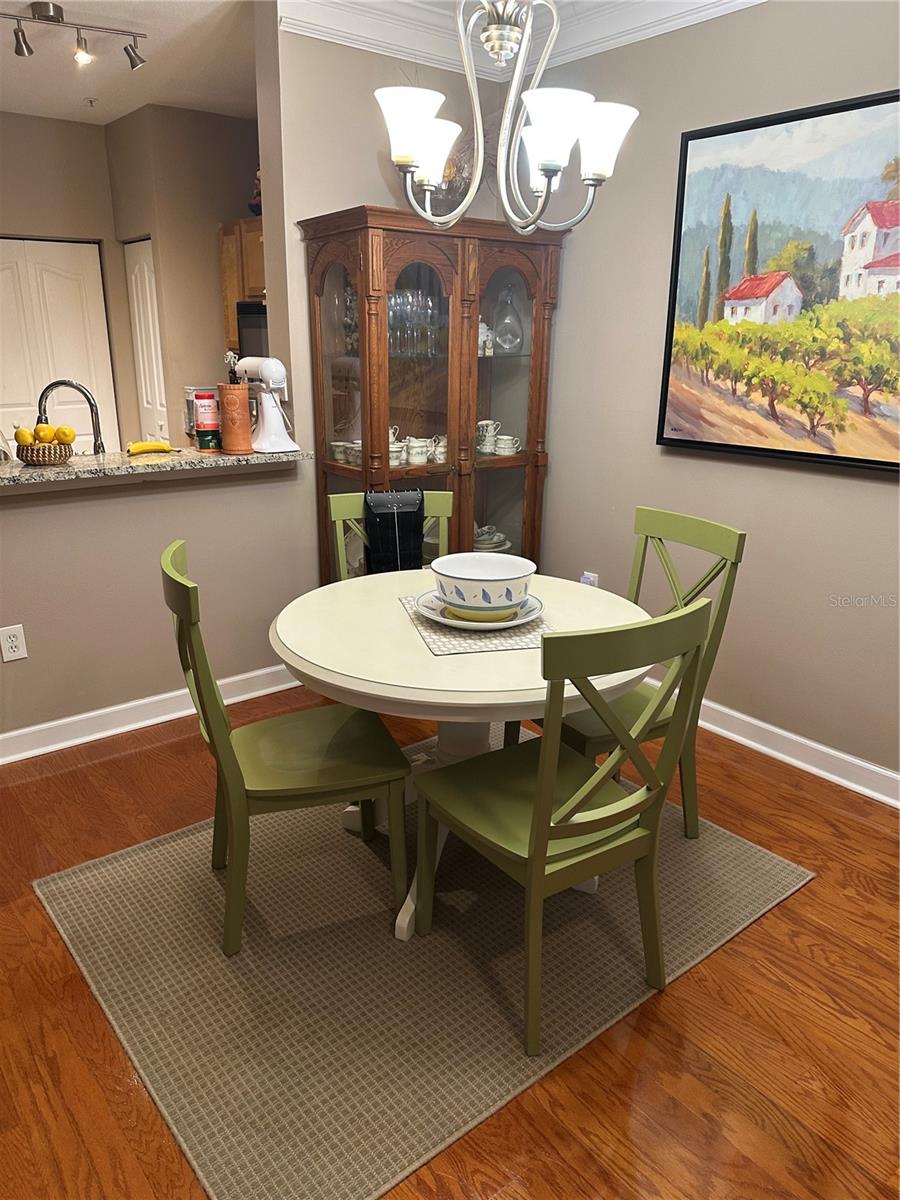 4207 S DALE MABRY HWY #5105, TAMPA, FL, 33611