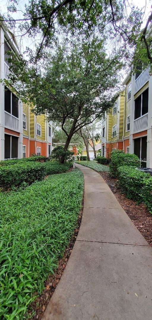 4207 S DALE MABRY HWY #5105, TAMPA, FL, 33611