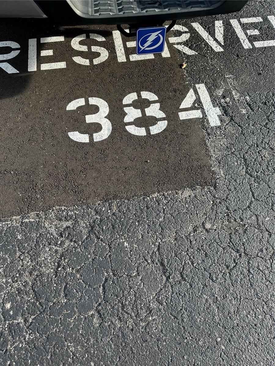 4207 S DALE MABRY HWY #5105, TAMPA, FL, 33611