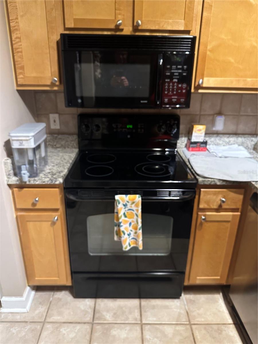 4207 S DALE MABRY HWY #5105, TAMPA, FL, 33611