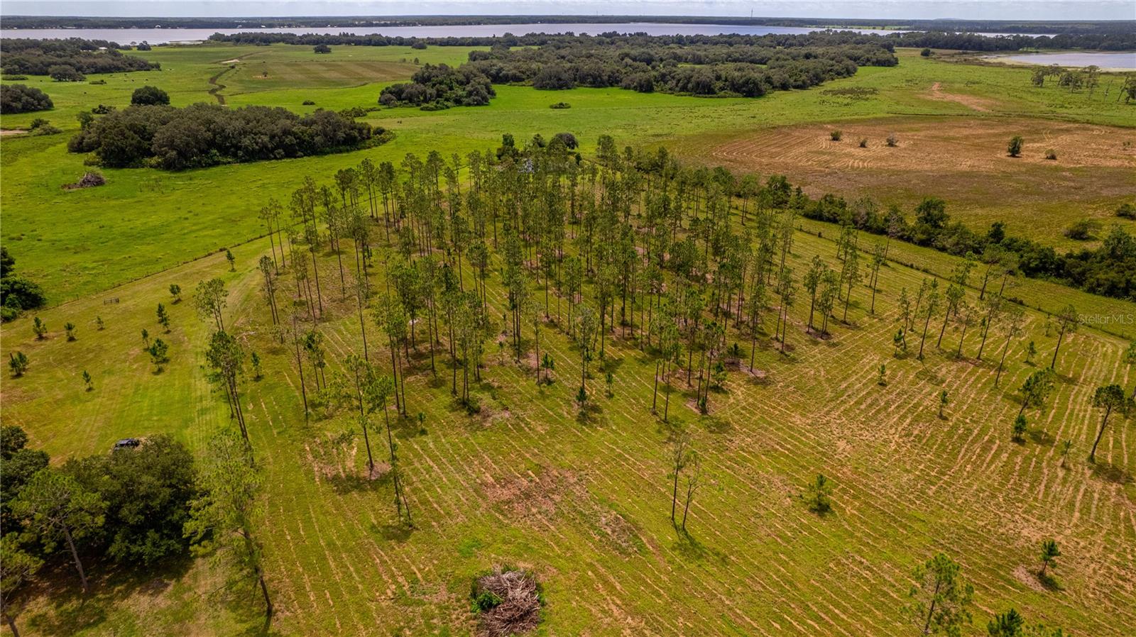 S5132509 Property Photo