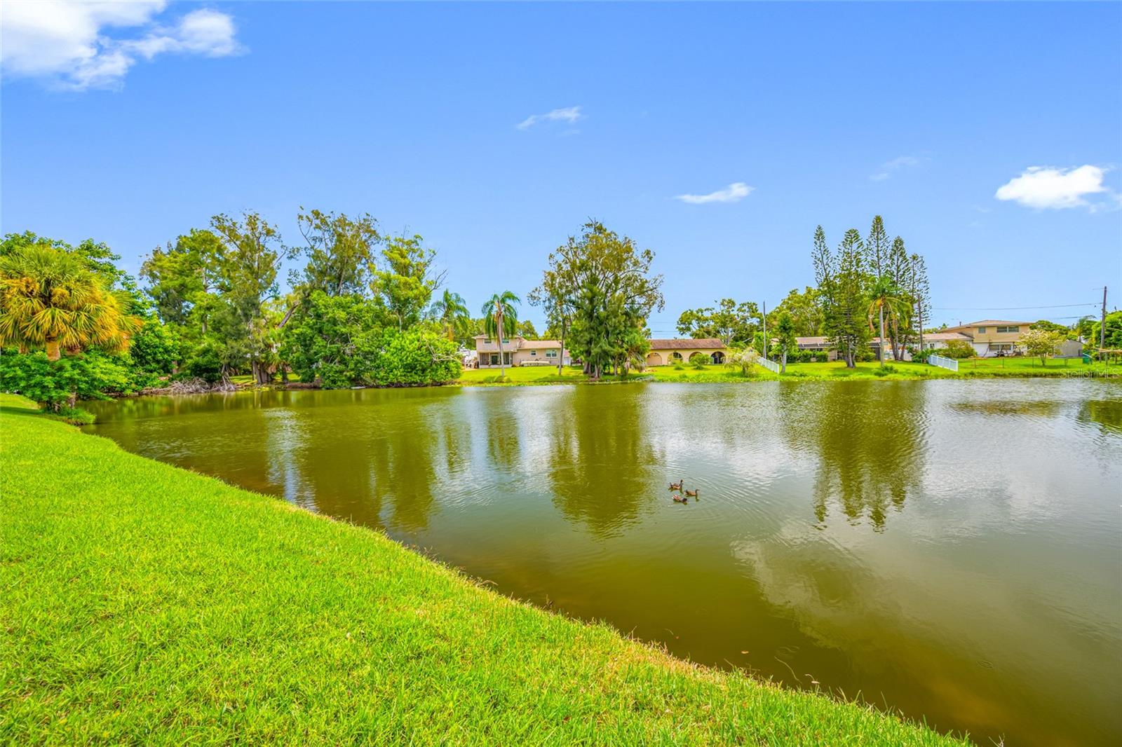 TB8416229 Property Photo