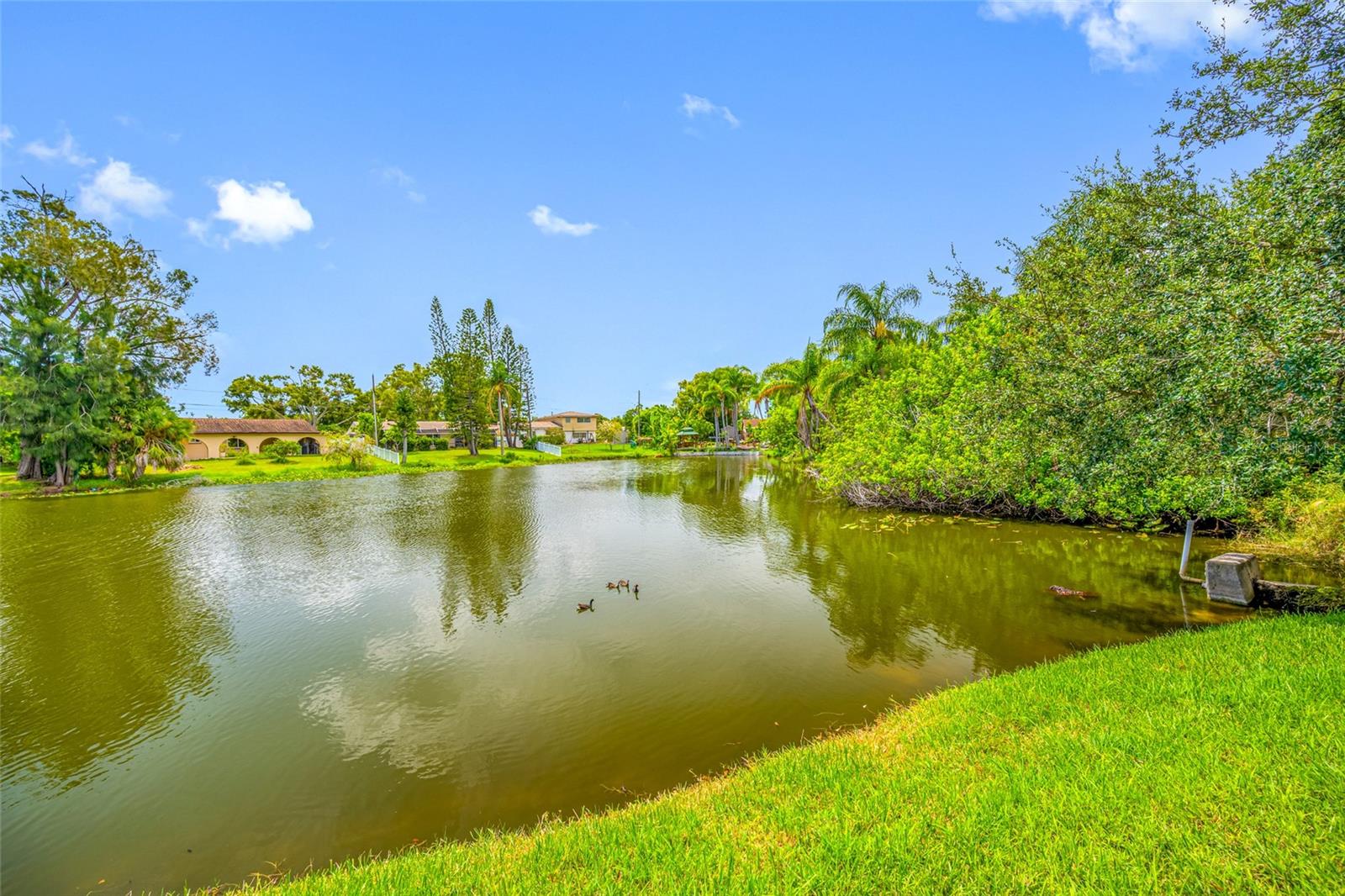 TB8416229 Property Photo