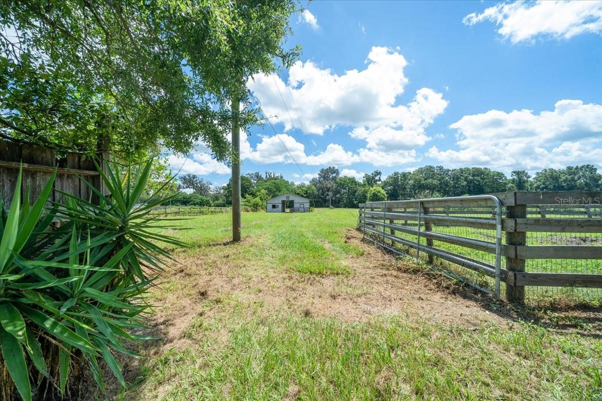 4611 NE 4TH AVE, OCALA, FL, 34479