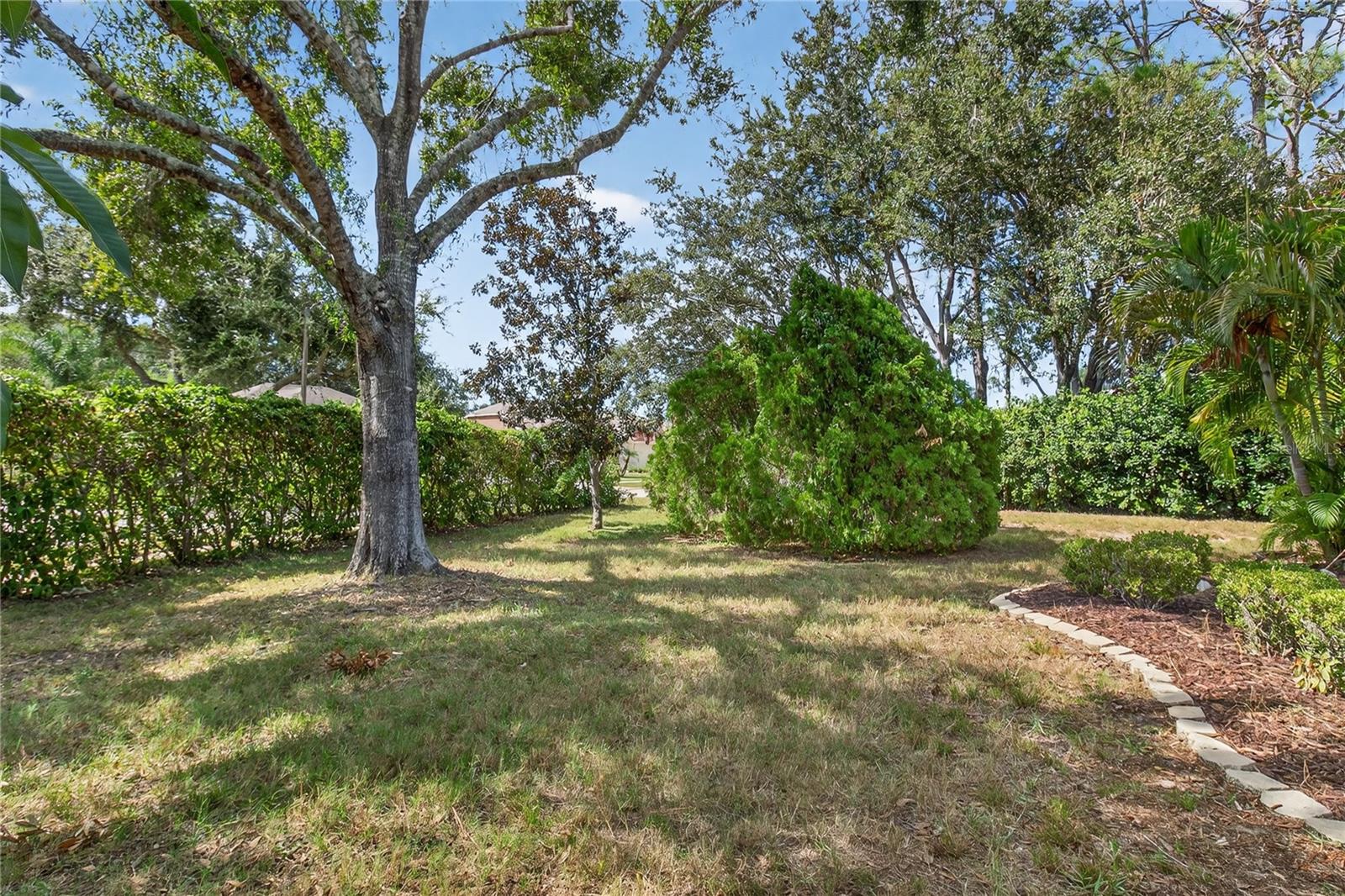 488 BRIDLE PATH WAY, TARPON SPRINGS, FL, 34688