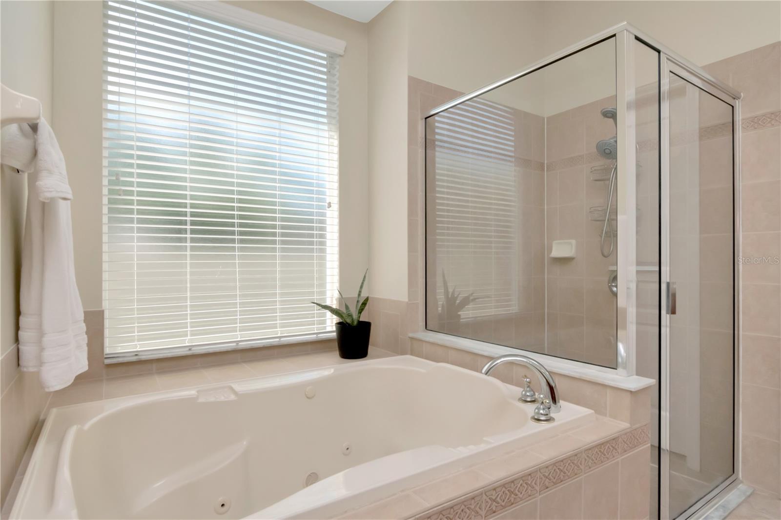 Primary Bathroom with Garden Soaking Tub & Shower