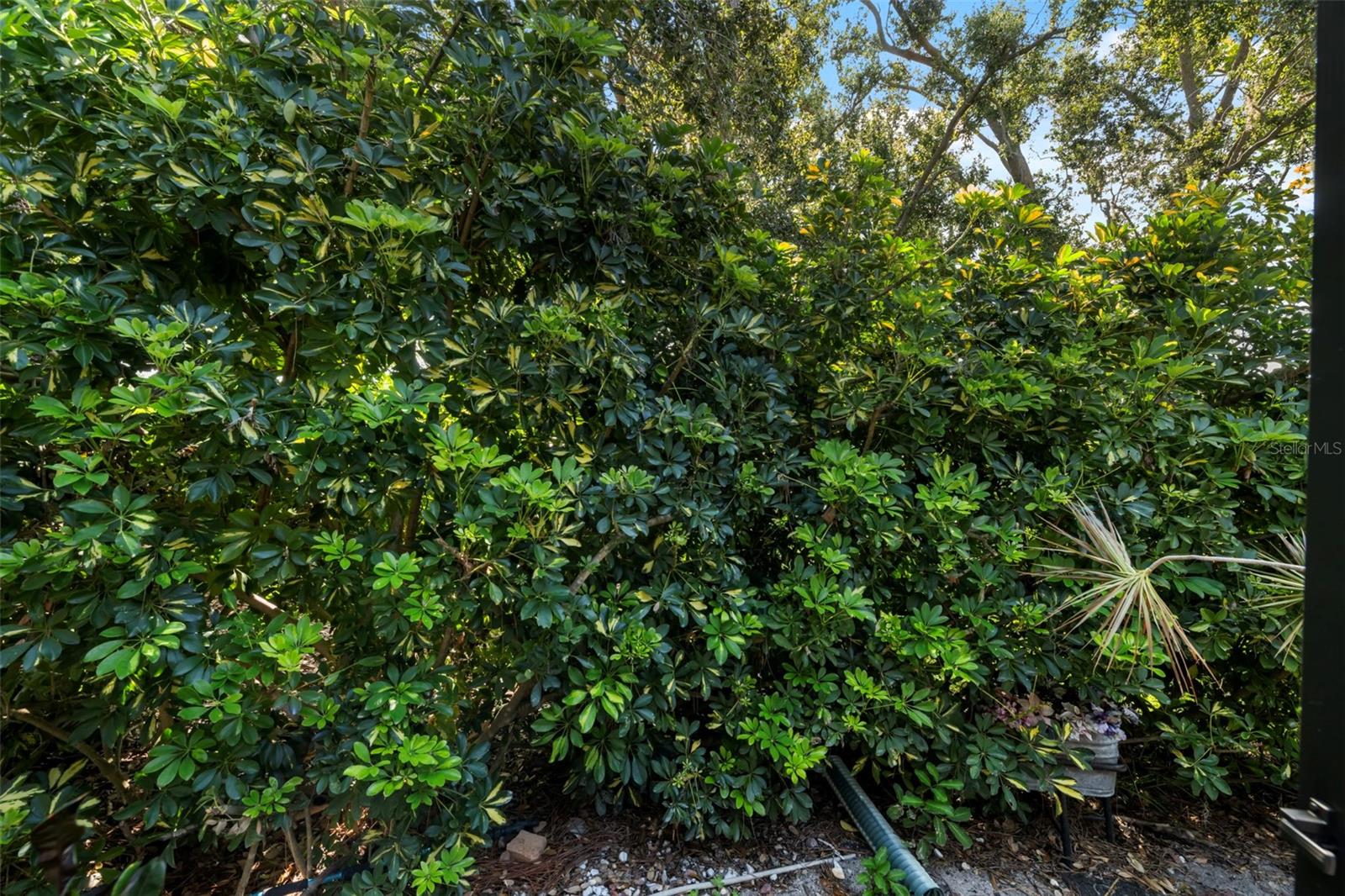 A4661730 Property Photo