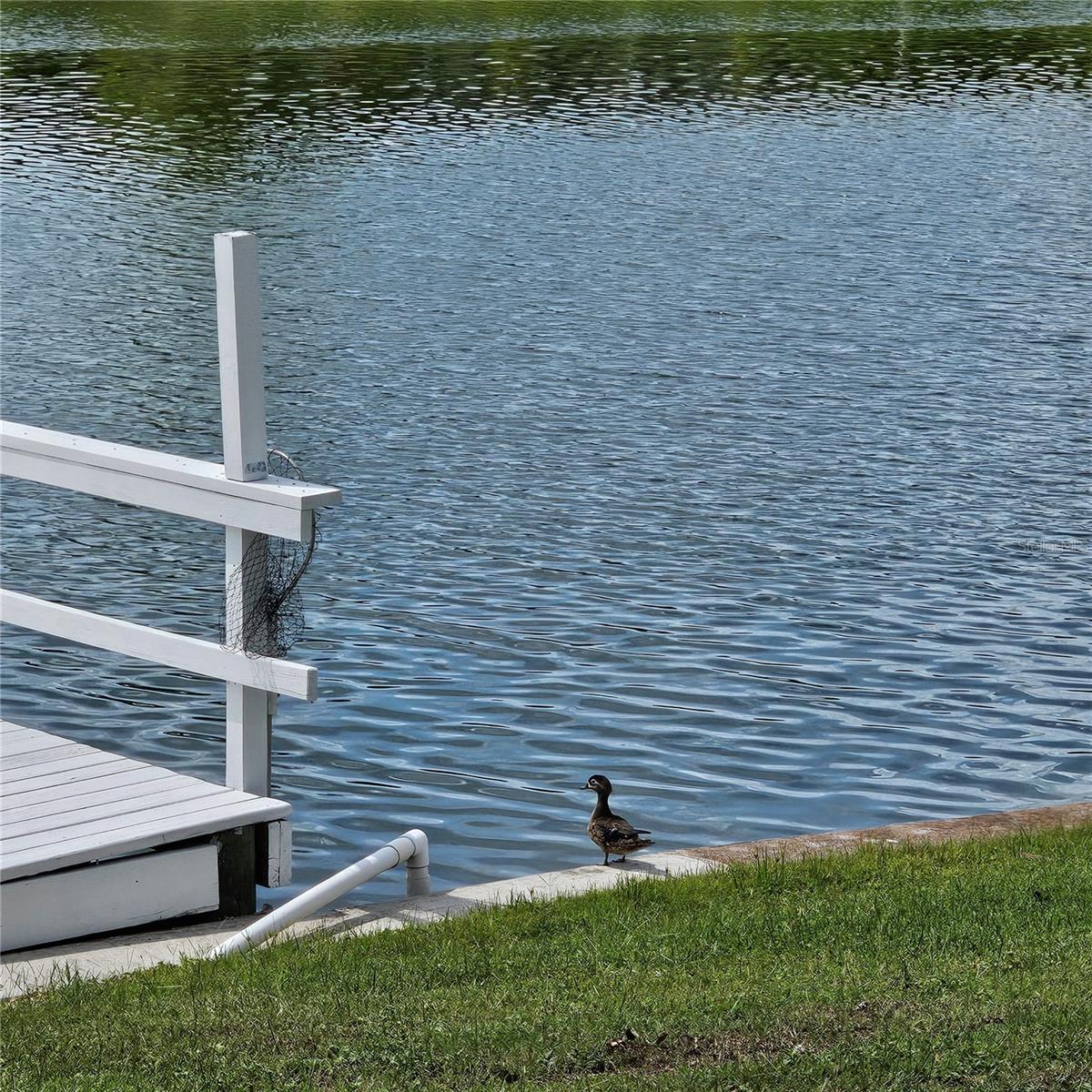 1717 DANBURY DR, SUN CITY CENTER, FL, 33573